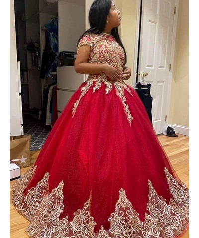 Women's Embroidery Princess Quinceanera Dresses with Wrap Lace Floral Applique Beads Ball Gown Sweet 16 Dresses Champagne $90...