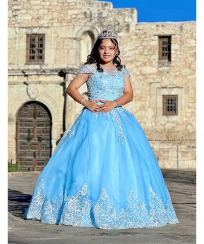 Women's Embroidery Princess Quinceanera Dresses with Wrap Lace Floral Applique Beads Ball Gown Sweet 16 Dresses Champagne $90...