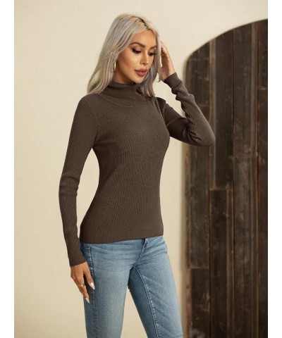 Sweaters for Women Winter Autumn Knit Long Sleeve Tops Slim Fit Turtleneck Sweaters Tops Pullover D Coffee $11.99 Sweaters